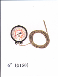Thermometer