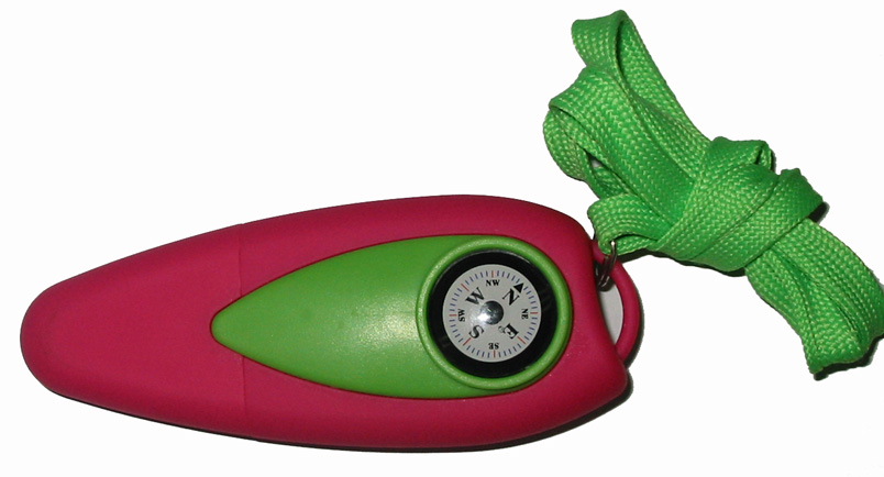 keychain compass