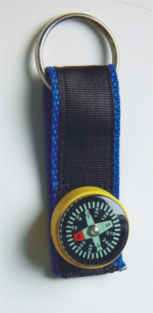 compass