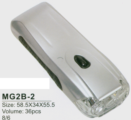 Magnifier